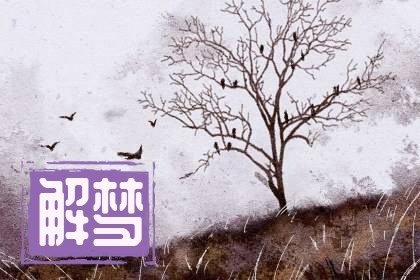 做梦做到自己生了一个儿子，未婚梦到自己生孩子了