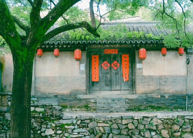 农村大门外栽什么树好风水，大门口两边最旺宅的植物