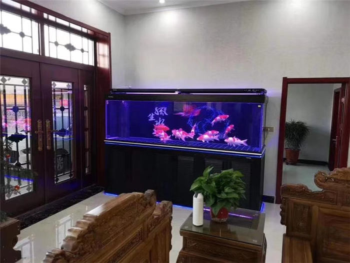 办公室鱼缸的摆放位置风水，客厅鱼缸的最佳摆放图