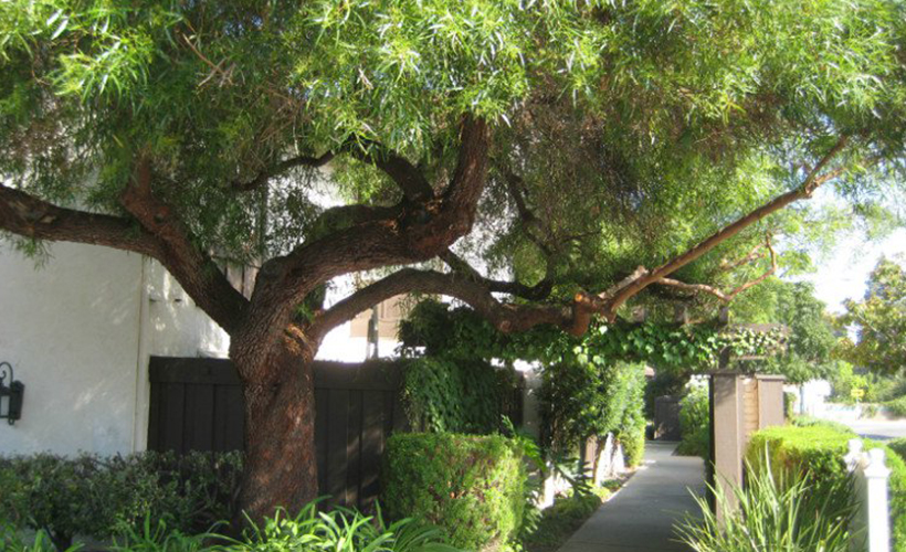 农村院子风水宅子大忌图，人压不住宅的表现