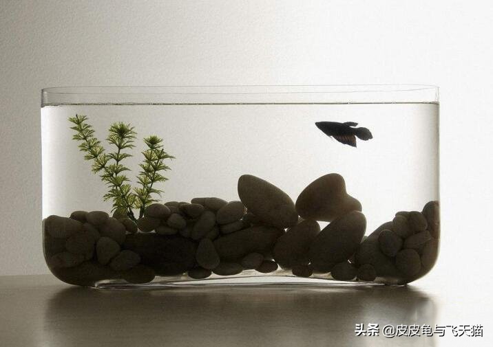 办公室旺事业的风水摆件，女人的办公桌右高左低