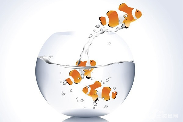 办公室养几条鱼最招财风水，养鱼口诀一三五七