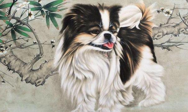 一生两次婚姻的生肖男人，“二婚命”的3大生肖女