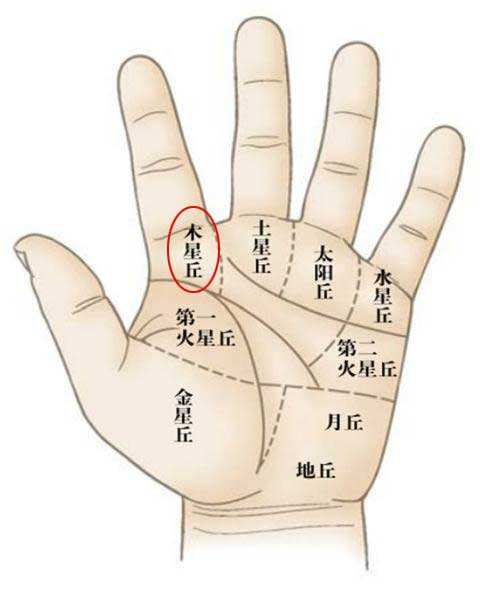 手相上什么是木星丘纹,木星丘上出现什么纹最好 手相上什么是木星丘纹,木星丘上出现什么纹最好