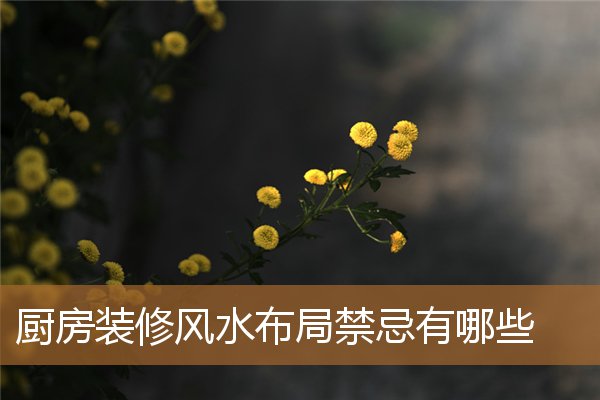 厨房布局有什么风水讲究,厨房装修风水七大忌 厨房布局有什么风水讲究,厨房装修风水七大忌