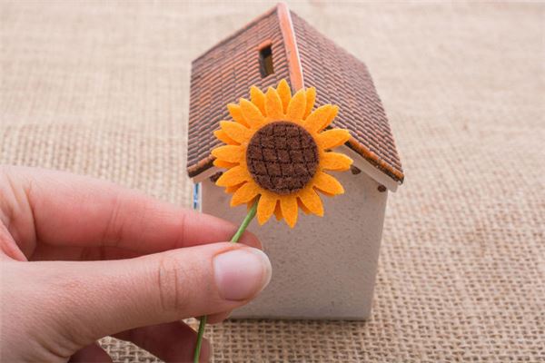 公司放假花好不好，公司放假花有什么风水讲究