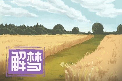 女人梦见咸菜什么意思啊，女人梦见腌咸菜好不好