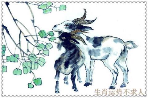 91年属羊的是什么命，十羊九苦哪俩月羊最苦