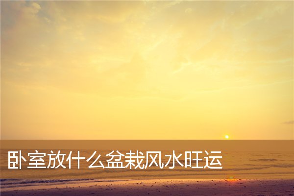卧室放什么盆栽好风水，卧室放植物的风水禁忌