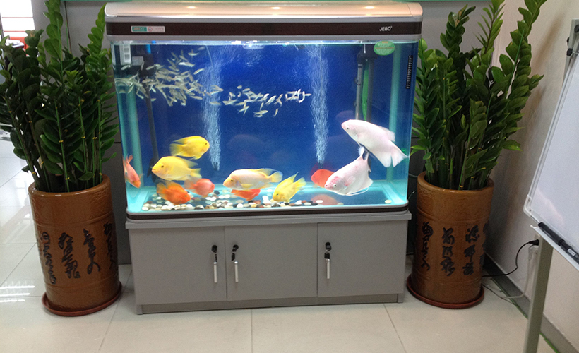 发横财的风水格局，一杯水就可以发财的方法