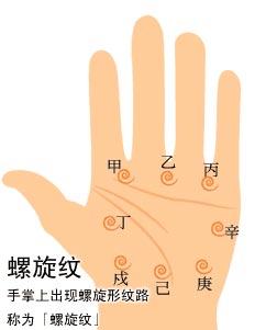 手掌螺旋纹看富贵,手相宝晕螺旋纹图解 手掌螺旋纹看富贵,手相宝晕螺旋纹图解