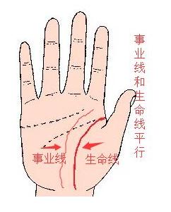 手相事业线和生命线平行,生命线和事业线平行图 手相事业线和生命线平行,生命线和事业线平行图