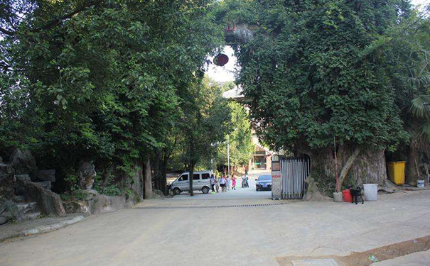 大门两旁栽几棵树最好风水,门前一般栽几棵树 大门两旁栽几棵树最好风水,门前一般栽几棵树