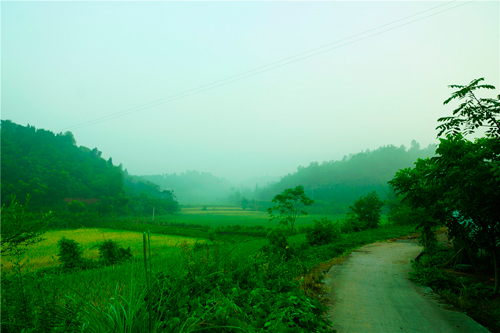 女人辰时出生的人命运，辰时出生不需要算命