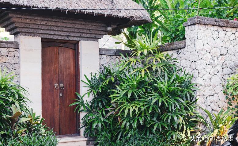 大门外栽什么树最吉利风水，排名第一最好的镇宅树