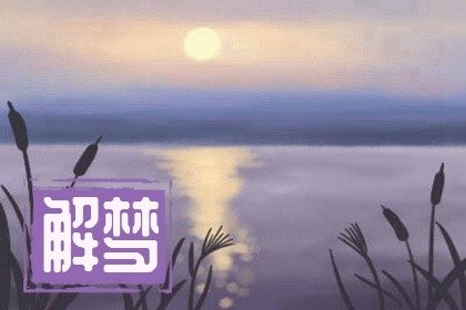 女人梦见猫说人话，梦见自己跟猫在对话