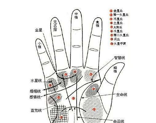 女人手相婚姻算命图解大全,7种手相暗示大富大贵 女人手相婚姻算命图解大全,7种手相暗示大富大贵