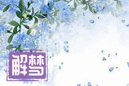 女人梦见猫如何化解，梦到猫会有什么事发生吗