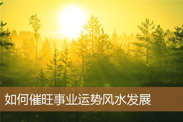 如何利用风水催旺事业运,最旺财的九鱼图 如何利用风水催旺事业运,最旺财的九鱼图