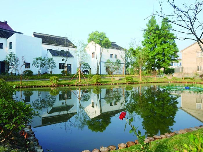 正北卫生间风水化解，卫生间化煞摆件