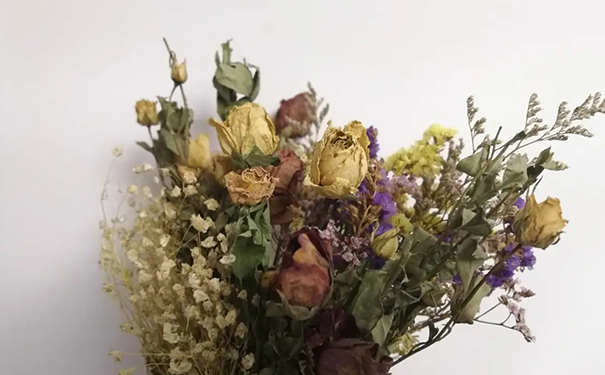 家里放干花的风水，干花为啥不吉利