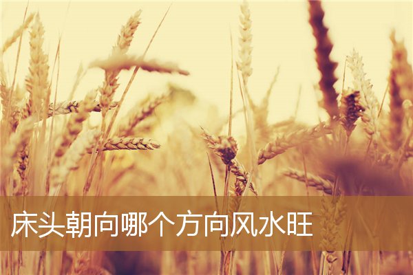 床头朝向哪个方向好风水，床头朝哪个方向风水好
