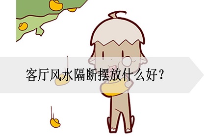 客厅隔断摆放什么风水好呢,最旺入门玄关效果图 客厅隔断摆放什么风水好呢,最旺入门玄关效果图