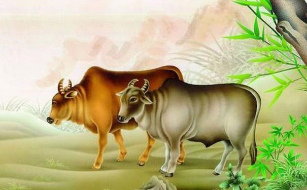 哪些属相不适合戴玉手镯,五大生肖不适合戴玉 哪些属相不适合戴玉手镯,五大生肖不适合戴玉
