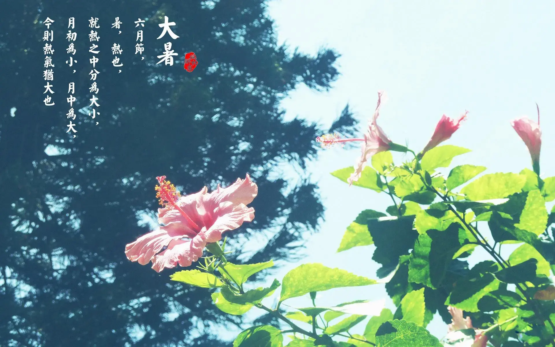 闰月怎么算八字，小学闰月的计算方法