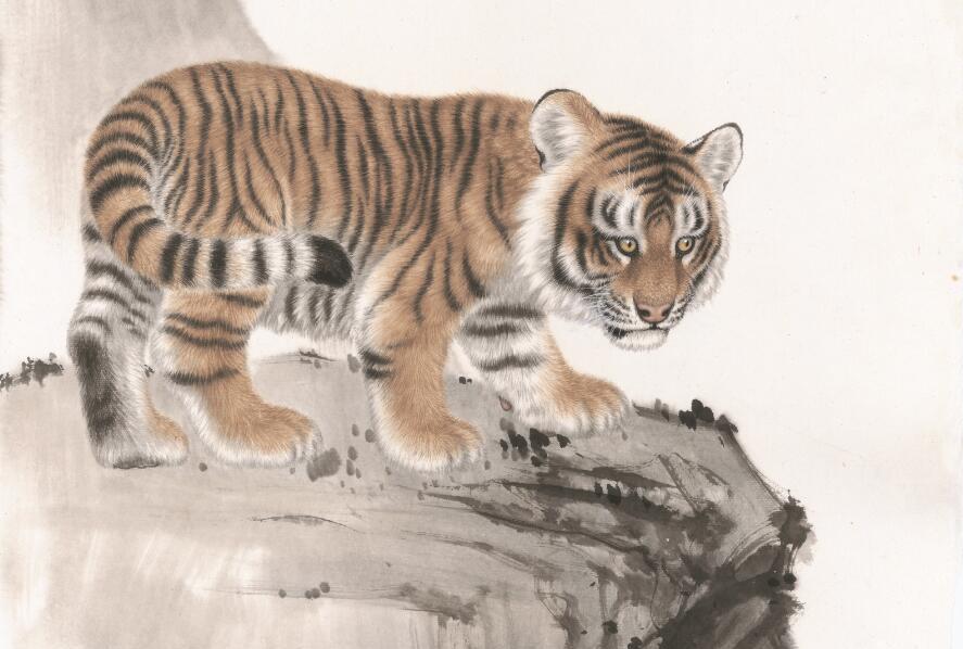 多愁善感是什么生肖打一肖,多愁善感正确答案一肖 多愁善感是什么生肖打一肖,多愁善感正确答案一肖