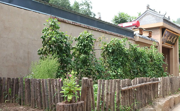 房前屋后的风水禁忌，一个家旺不旺看厨房