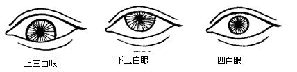 眼睛面相算命图解大全,女人看面相大全图解法 眼睛面相算命图解大全,女人看面相大全图解法