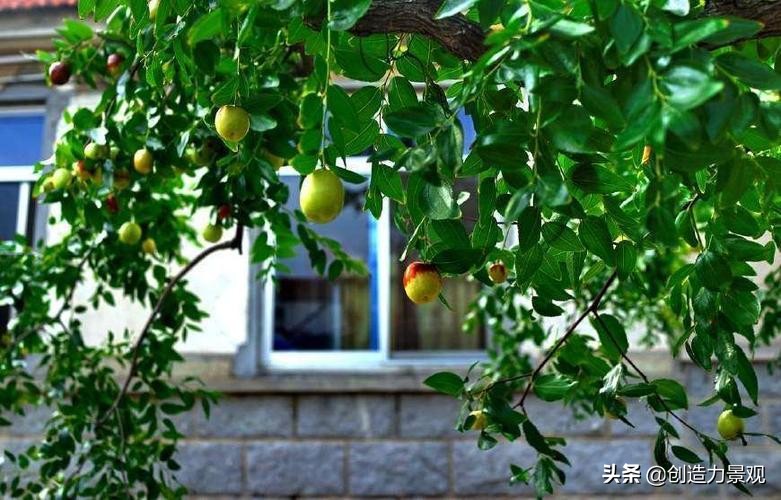 庭院风水旺财布局方法，院子风水布局八个位置
