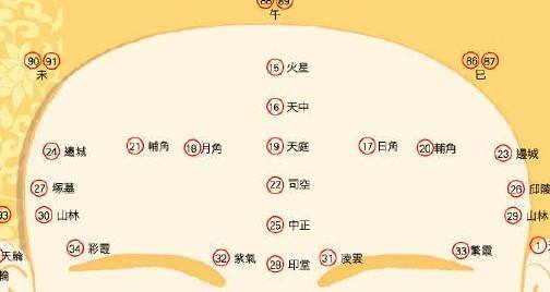 男人额头面相算命图解，男人必出轨的面相