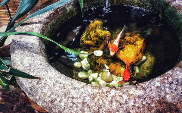 家里鱼缸怎么摆放旺财风水，客厅鱼缸的最佳摆放图