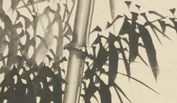 怎么改善家里风水财运,怎么改变家里的风水运气 怎么改善家里风水财运,怎么改变家里的风水运气