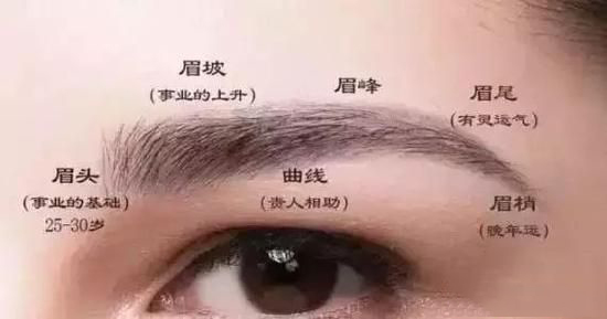 眉毛的风水相学说图解，十大富贵眉毛