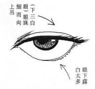 眼睛面相算命图解大全,女人看面相大全图解法 眼睛面相算命图解大全,女人看面相大全图解法