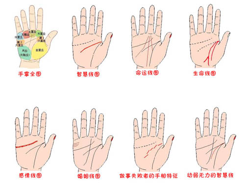 手相算命图解大全，看手相免费测试扫一扫