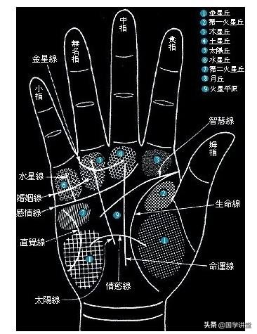 麻衣相法大全图解手相图片，麻衣神相手相七十二图