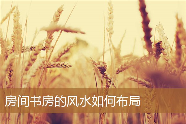 家里书房风水布局，书房在什么位置风水好