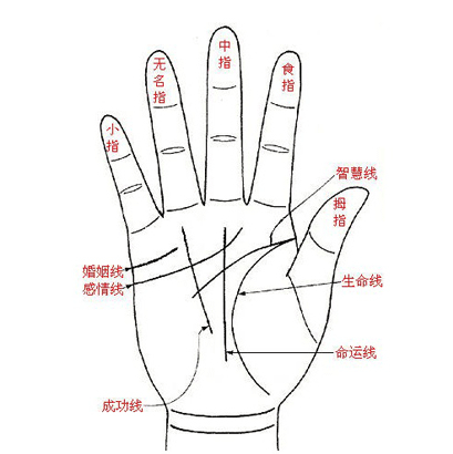 手相算命大全图解，看手相算命大全图解书