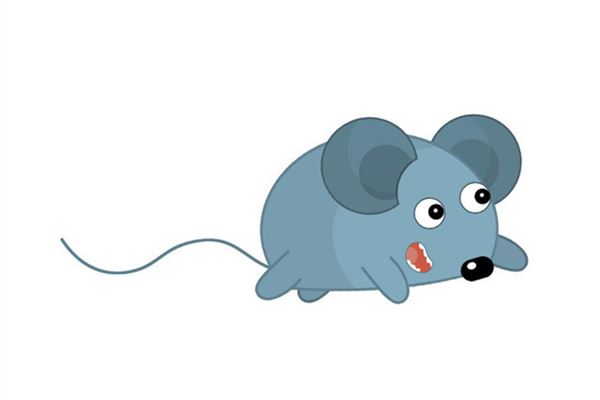 尖嘴老鼠进家的风水说法，家里出现老鼠预示发财