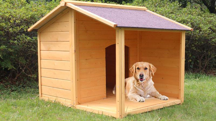 家里狗窝放在哪里能旺财，狗睡门口风水招财