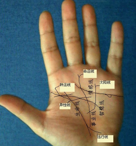 手相流年图算命百发百中女，最准确的手相流年