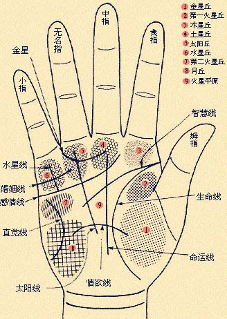 看男人手相算命图解,7种手相暗示大富大贵 看男人手相算命图解,7种手相暗示大富大贵