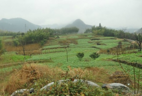 怎么判断墓地的风水,好风水墓地的前兆 怎么判断墓地的风水,好风水墓地的前兆