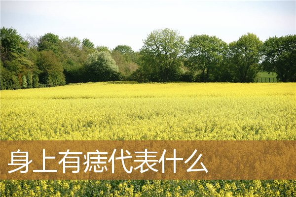身上有痣代表什么意思，身上各个部位痣的图解