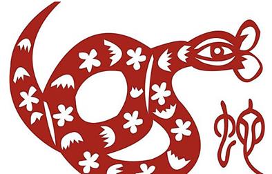 坚强的动物是什么生肖最准,十二生肖谁最坚强 坚强的动物是什么生肖最准,十二生肖谁最坚强