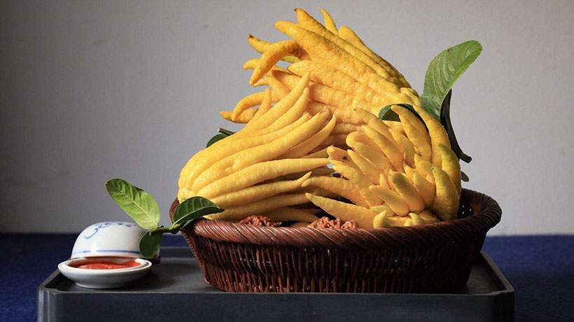 家里摆放什么绿植最好风水，镇宅最吉利的三种花